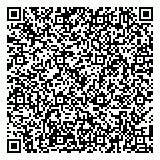 vCard 79100110027