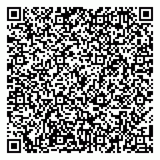 vCard 79100110028
