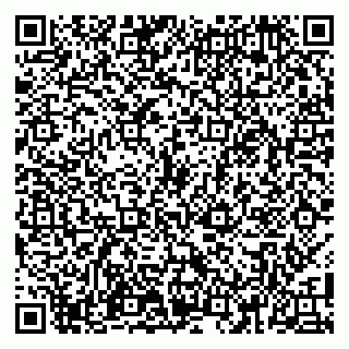 vCard 79100110029