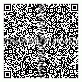 vCard 79100110030