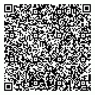 vCard 79100110031