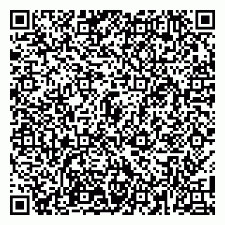 vCard 79100110035