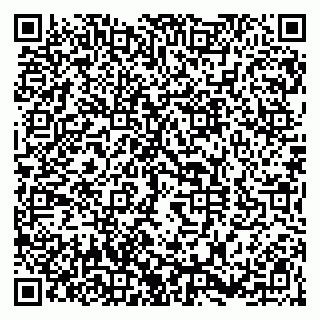 vCard 79100110036