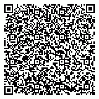 vCard 79100110037