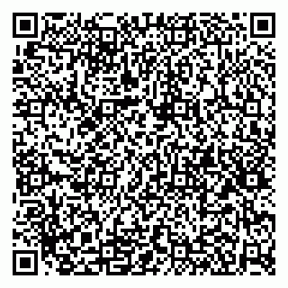 vCard 79100110038