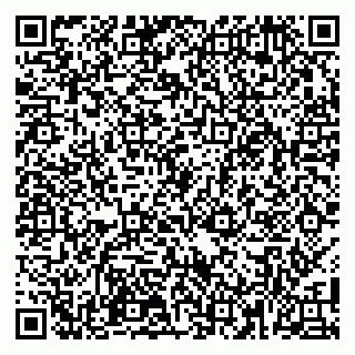 vCard 79100110039