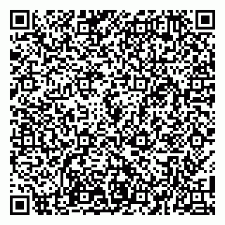 vCard 79100110040