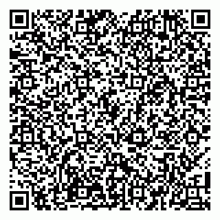 vCard 79100110041