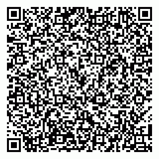 vCard 79100110042