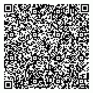 vCard 79100110043
