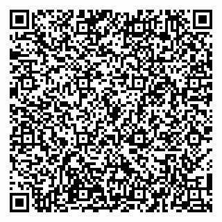 vCard 79100110047