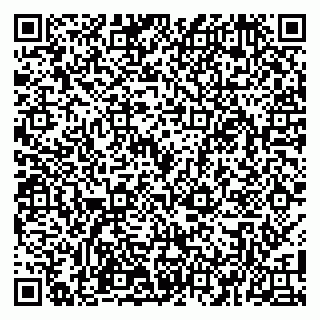 vCard 79100110049