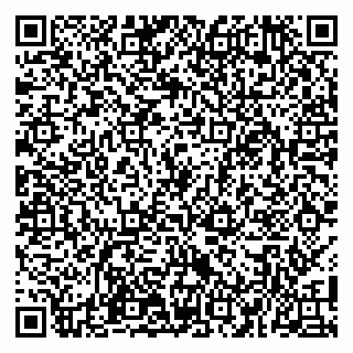 vCard 79100110051