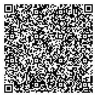 vCard 79100110053