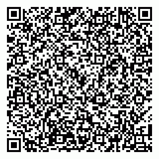 vCard 79100110063