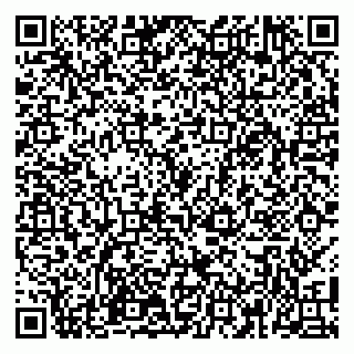 vCard 79100110073