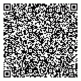 vCard 79100110074