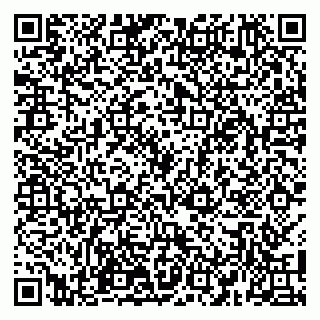 vCard 79100110096