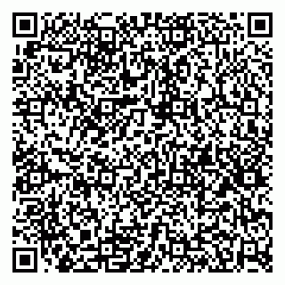 vCard 79100110100