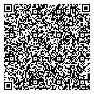 vCard 79100110132