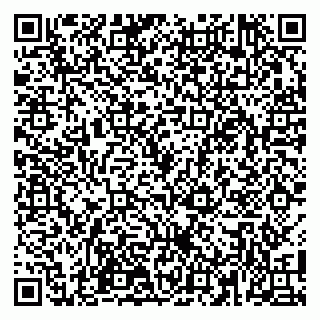 vCard 79100110133
