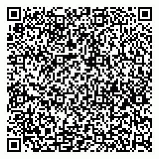 vCard 79100110138