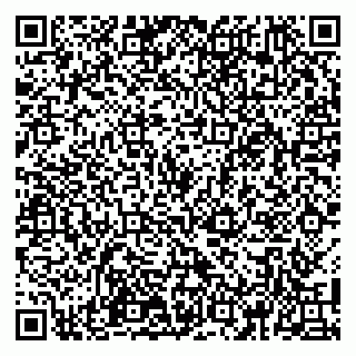 vCard 79100110166