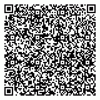 vCard 79100110173