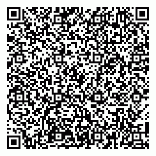 vCard 79100110176