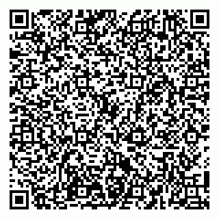 vCard 79100110217
