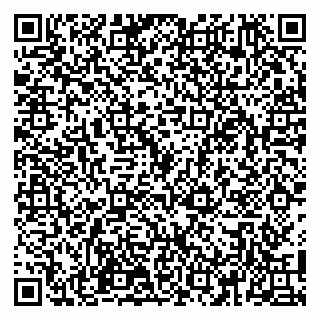 vCard 79100110226