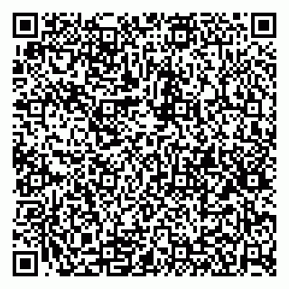 vCard 79100110233