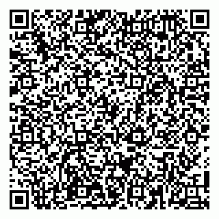 vCard 79100110238