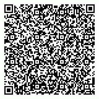 vCard 79100110251