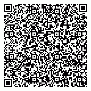 vCard 79100110258
