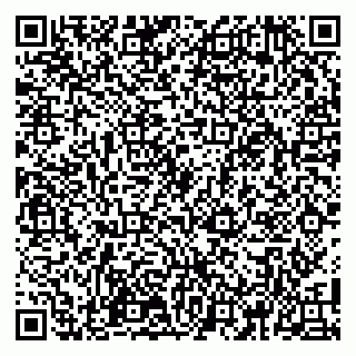 vCard 79100110261