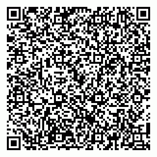 vCard 79100110266