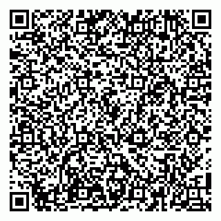 vCard 79100110271