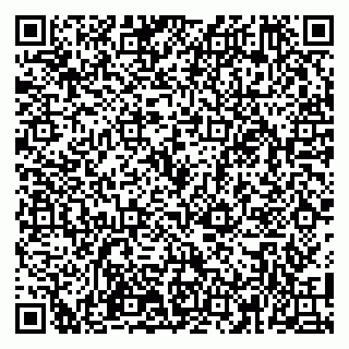 vCard 79100110272