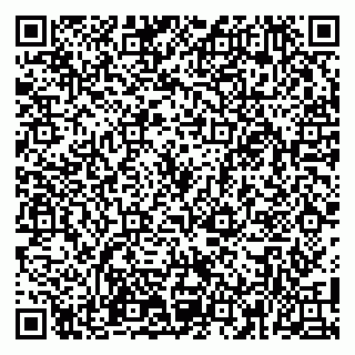 vCard 79100110275