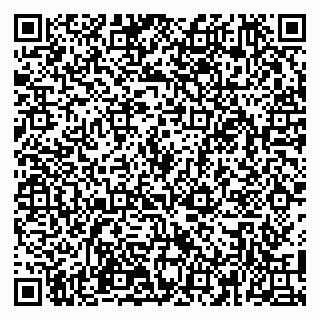 vCard 79100110276