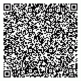 vCard 79100110281