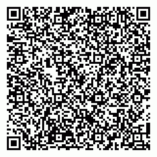 vCard 79100110285