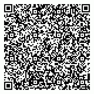 vCard 79100110287