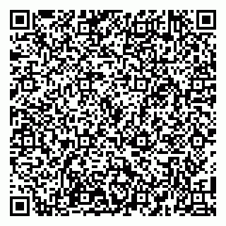 vCard 79100110293