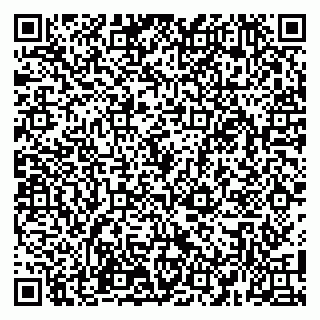 vCard 79100110295
