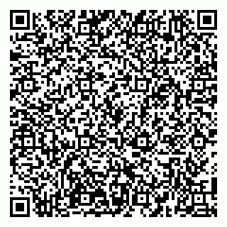 vCard 79100110296