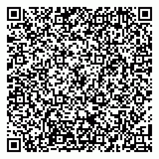 vCard 79100110299