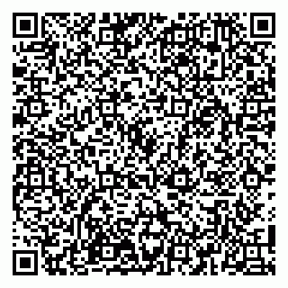 vCard 79100110300