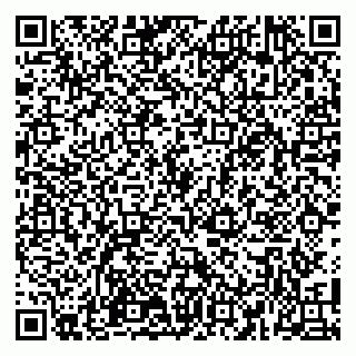 vCard 79100110313